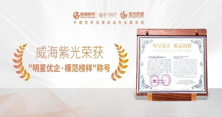 【荣誉上新】威海紫光获 “ 明星优企